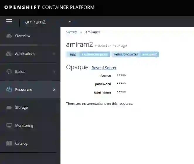 OpenShift "reveal secret" screen