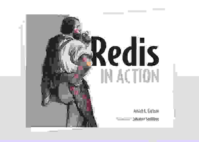 Redis in Action by Josiah L. Carlson Foreword by Salvatore Sanfilippo