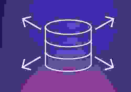 The Importance of Database Persistence and Backups