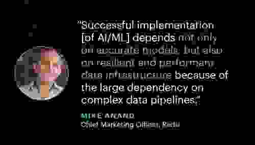 mike anand quote redisdays ny