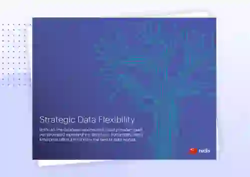 Strategic Data Flexibility
