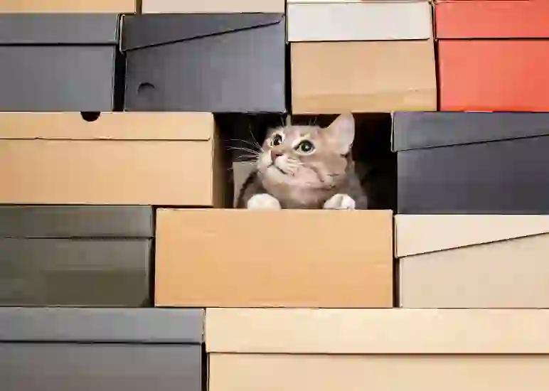 an orange kitten hiding in a stack of boxes