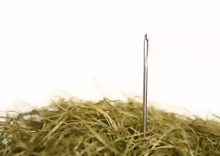 stock image of a needle in a haystack