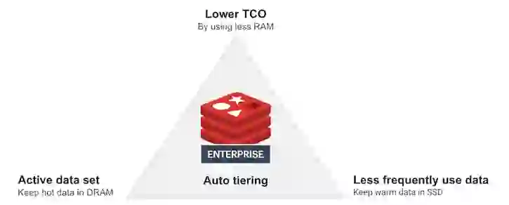 Auto tiering improves TCO by combining DRAM and SSDs
